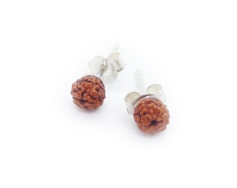 Puces d'oreilles, très petites graines de Rudraksha 4mm, clous Argent, poussoirs papillon