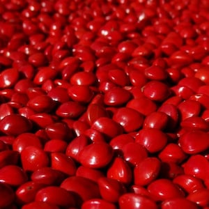 25 grams of red seeds (Adenanthera pavonina) or approximately 96 seeds, natural color, undrilled