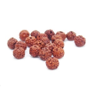 18 Rudraksha (Elaeocarpus ganitrus) di piccolissime dimensioni, 4/5mm di diametro, spazzolate, forate da 1mm