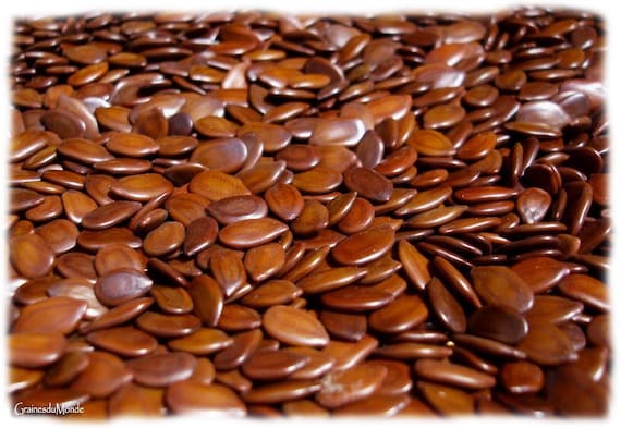 25 grams of white leadtree (Leucaena leucocephala) or about 650 seeds, not pierced
