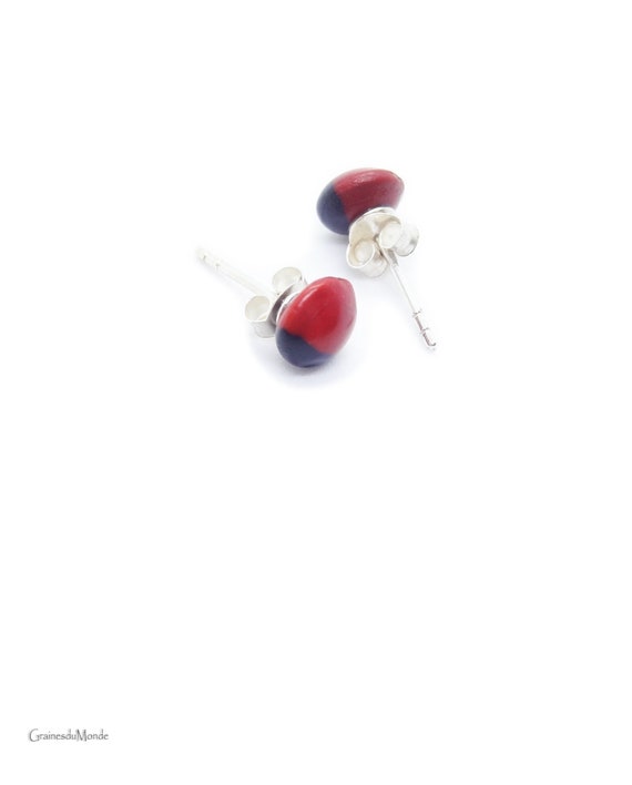 Silver Stud and the red and black Adenanthera intermedia seeds