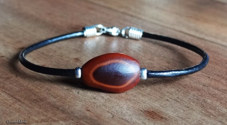 2mm leather bracelet and Guanacaste seed Enterolobium cyclocarpum harvested in the West Indies image 4