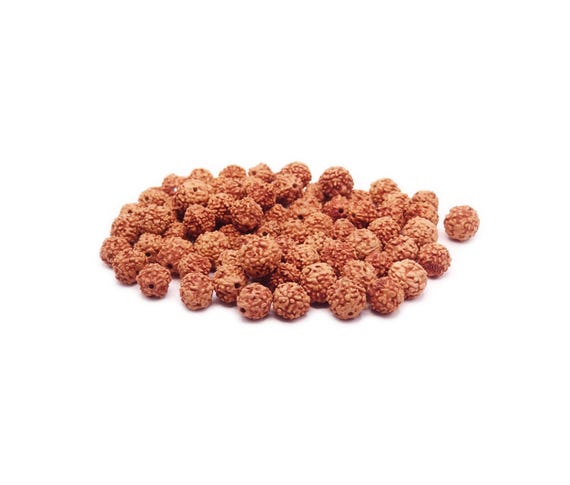 25 grams of raw Rudraksha (Elaeocarpus ganitrus) or approximately 80 seeds of 8, 9 and 10mm in diameter, pierced, undyed.