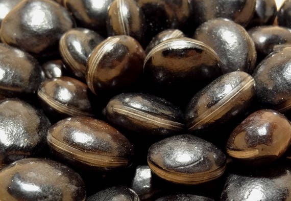 50 grams of bull's eye (Mucuna paniculata) or about 15 seeds, not pierced