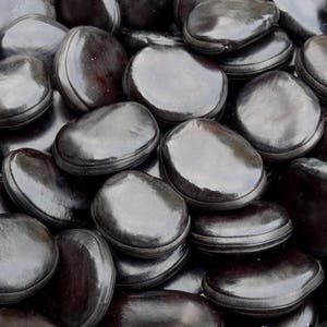 50 grams of Rusty leaf Mucuna (Mucuna macrocarpa) or about 6/7 seeds, glossy, not pierced, rare