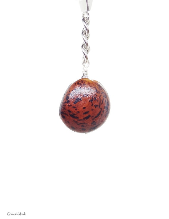 Bull's eye key chain, remarkable seed of Macropsychantus wilsonii harvested in Madagascar