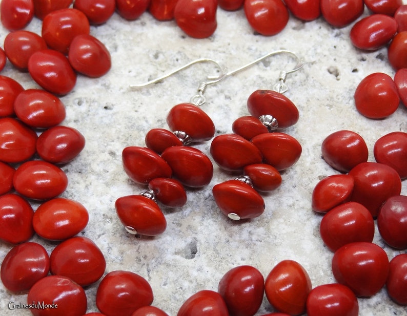 925/1000 silver earrings and Jumbi-Bead Adenanthera pavonina / Adenanthera microsperma image 3