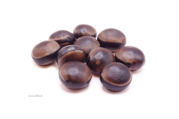 50 grams of Horseeye bean (Mucuna sloanei) or about 10 seeds, not pierced, harvested in French Guiana
