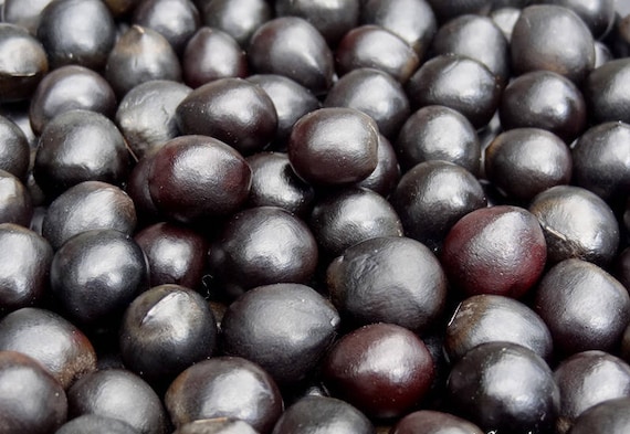 50 grams of large seeds of Indian soapberry (Sapindus mukorossi) or about 28 seeds
