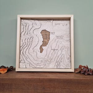 May include: A framed wooden map of a lake with surrounding mountains. The map is laser-cut and features detailed contour lines. The lake is labelled "Spring Homes" and the surrounding mountains are labelled "Sangay" and "Hacienda."
