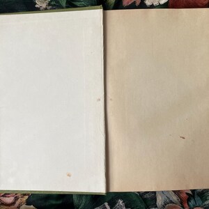 Puede incluir: Un libro abierto con cubierta y lomo verdes, que muestra una guarda blanca en blanco a la izquierda y una p&aacute;gina lisa de color tostado claro a la derecha. Las superficies de papel muestran una textura sutil y peque&ntilde;as manchas tenues.