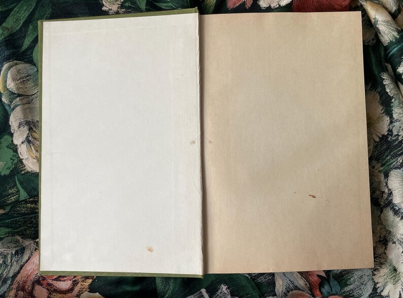 Puede incluir: Un libro abierto con cubierta y lomo verdes, que muestra una guarda blanca en blanco a la izquierda y una p&aacute;gina lisa de color tostado claro a la derecha. Las superficies de papel muestran una textura sutil y peque&ntilde;as manchas tenues.