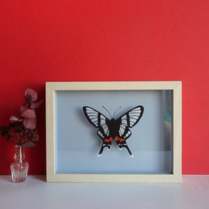 Framed butterfly in paper, Insect Taxidermy Papercut Art, Faux Taxidermy for Curiosities lovers, Hand Cut Paper Art, Mothers Day Gift