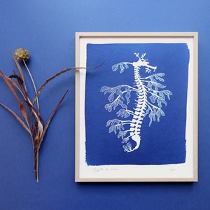 Leafy Seadragon original cyanotype, blue wall art, ocean print for a beach wall decor, nursery wall art image 1