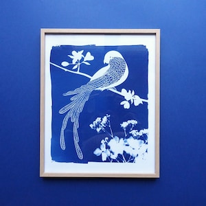 Macaw parrot cyanotype, tropical print, bird lover gift, tropical nusery decor, bird nursery decor, Mothers Day gift image 3