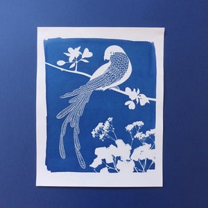 Macaw parrot cyanotype, tropical print, bird lover gift, tropical nusery decor, bird nursery decor, Mothers Day gift image 1