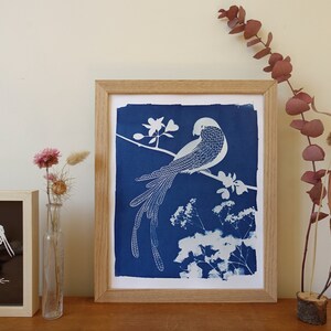 Macaw parrot cyanotype, tropical print, bird lover gift, tropical nusery decor, bird nursery decor, Mothers Day gift image 2