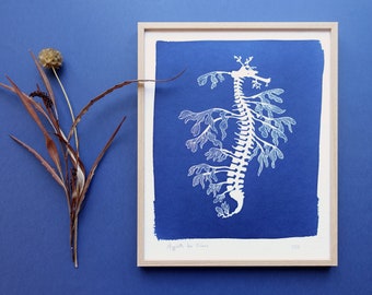 Leafy Seadragon original cyanotype, blue wall art, ocean print for a beach wall decor, nursery wall art