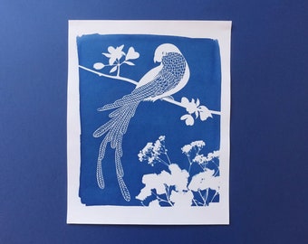 Macaw parrot cyanotype, tropical print, bird lover gift, tropical nusery decor, bird nursery decor, Mothers Day gift