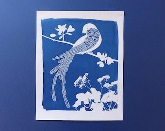 Macaw parrot cyanotype, tropical print, bird lover gift, tropical nusery decor, bird nursery decor, Mothers Day gift