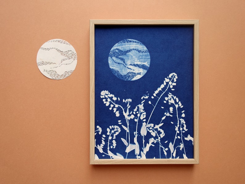 Pleine lune, Cyanotype 18x24 cm, affiche botanique bleue, cadeau original pour les amoureux des astres et des fleurs Cyanotype 5.