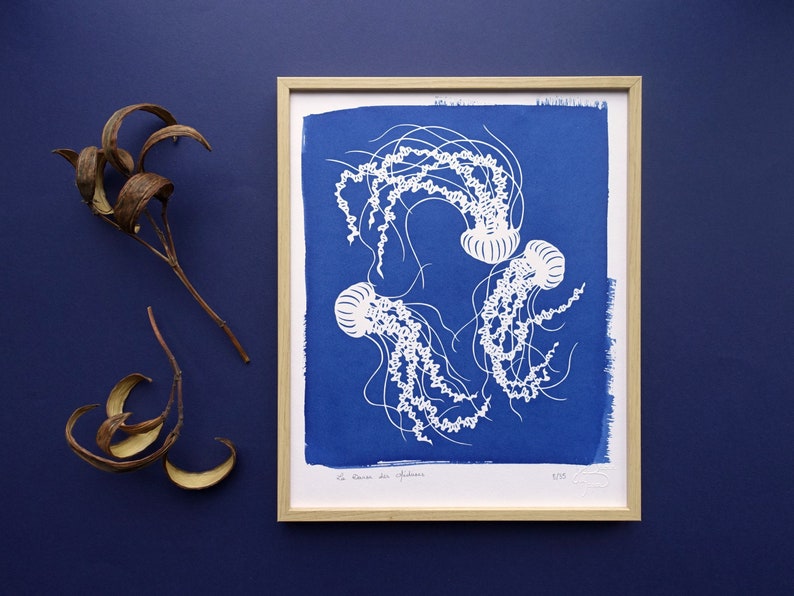 Jellyfish original cyanotype, blue wall art, ocean print, beach wall decor, nursery wall art Bild 1