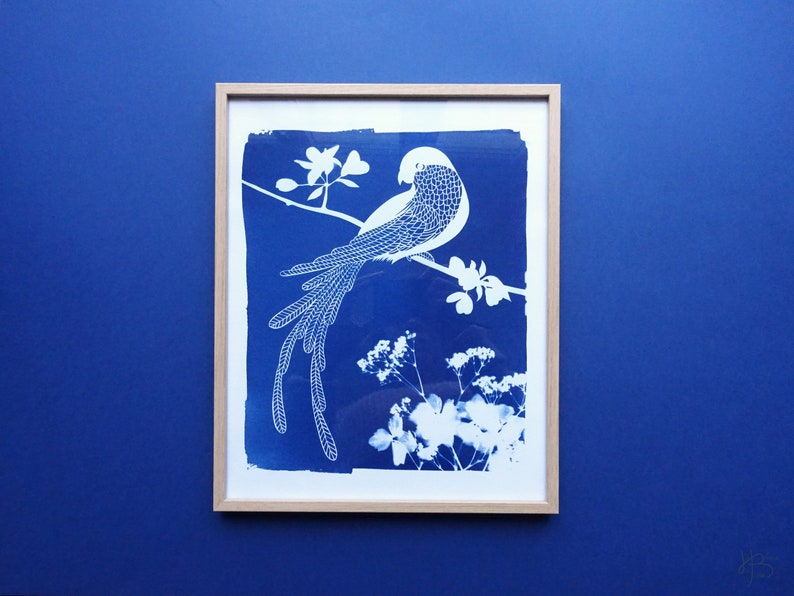 Macaw parrot cyanotype, tropical print, bird lover gift, tropical nusery decor, bird nursery decor, Mothers Day gift image 3