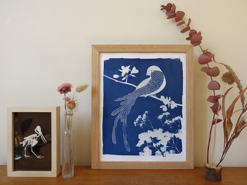 Macaw parrot cyanotype, tropical print, bird lover gift, tropical nusery decor, bird nursery decor, Mothers Day gift image 2