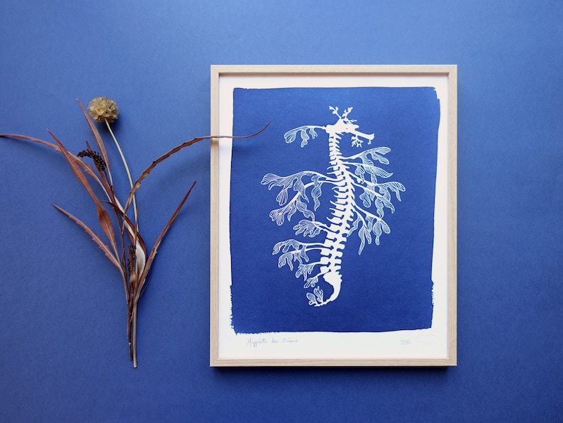 Leafy Seadragon original cyanotype, blue wall art, ocean print for a beach wall decor, nursery wall art image 1