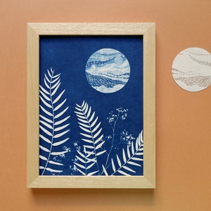 Pleine lune, Cyanotype 18x24 cm, affiche botanique bleue, cadeau original pour les amoureux des astres et des fleurs Cyanotype 8.