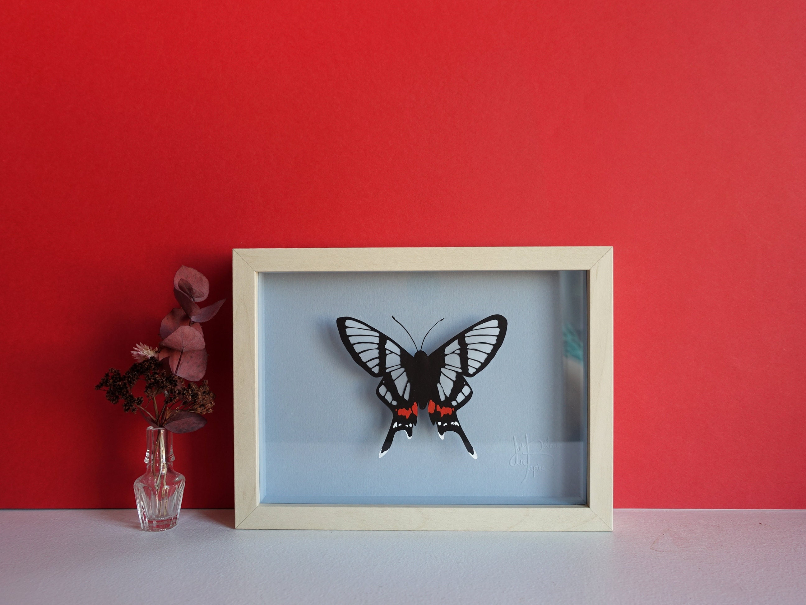 Found these old frames in a charity shop - added a new back and fake  butterflies for some faux taxidermy! : r/upcycling
