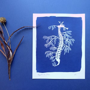 Leafy Seadragon original cyanotype, blue wall art, ocean print for a beach wall decor, nursery wall art image 2