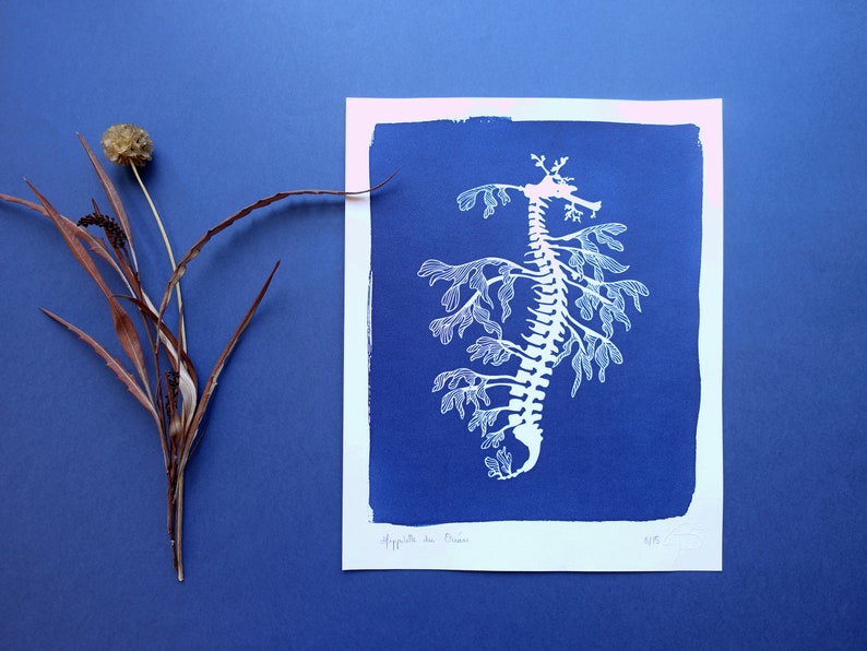 Leafy Seadragon original cyanotype, blue wall art, ocean print for a beach wall decor, nursery wall art image 2