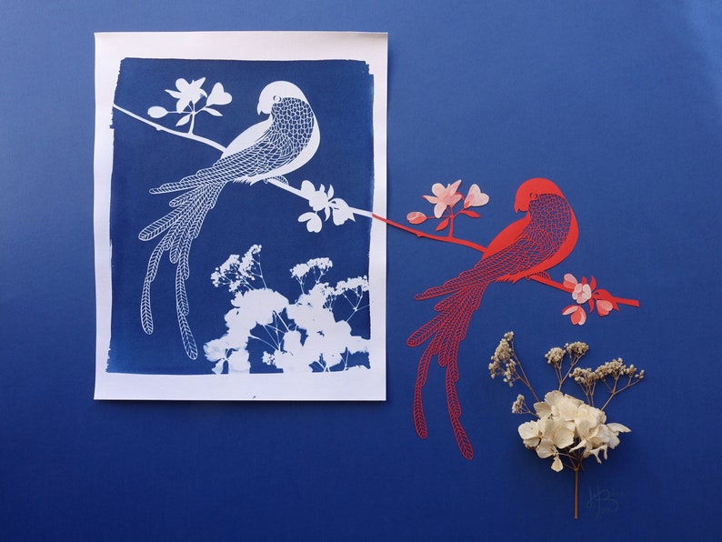 Macaw parrot cyanotype, tropical print, bird lover gift, tropical nusery decor, bird nursery decor, Mothers Day gift image 4