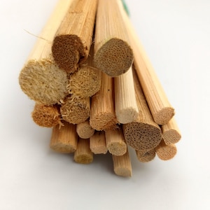 Spanking Rattan - Rattan Cane - Canning - Caning - Rattan zum Einmachen - verschiedene Durchmesser