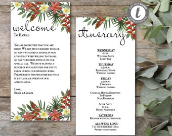 Destination Wedding Itinerary, Destination Wedding Welcome Letter, Bridal Party Itinerary, Editable, Digital Template, TR100