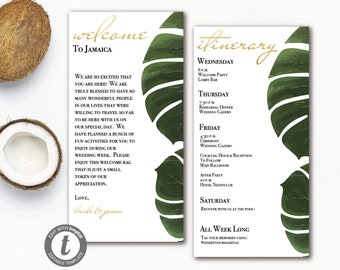 Destination Wedding Itinerary, Destination Wedding Welcome Letter, Bridal Party Itinerary, Editable, Customized, Template, PL100