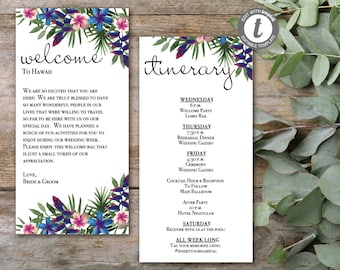 Destination Wedding Itinerary, Destination Wedding Welcome Letter, Bridal Party Itinerary, Editable, Digital Template, TR100