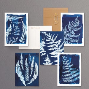 British Ferns Postcards FREE SHIPPING Perfect as Thank you Notes or Wall Art Botanical Cyanotypes Gift for Writers Pack of 5 image 1