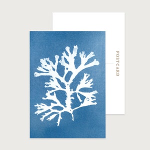 Lot de 10 cartes postales d'art côtier | LIVRAISON GRATUITE | Idéal comme mot de remerciement | Cadeau parfait pour les écrivains ou les amoureux de la mer | Toute occasion | Vierge