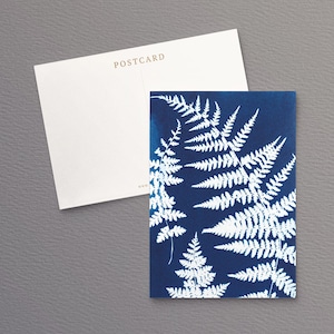 British Ferns Postcards FREE SHIPPING Perfect as Thank you Notes or Wall Art Botanical Cyanotypes Gift for Writers Pack of 5 image 2