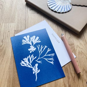 Indigo Kunst Postkarten 10er Set, blanko, mit Umschlägen. Dankesnotizen, Hochzeitseinladungen, Geschenkkarten. Gezackter Wrack-Algen-Cyanotypie-Kunst.