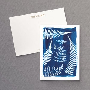 British Ferns Postcards FREE SHIPPING Perfect as Thank you Notes or Wall Art Botanical Cyanotypes Gift for Writers Pack of 5 image 4