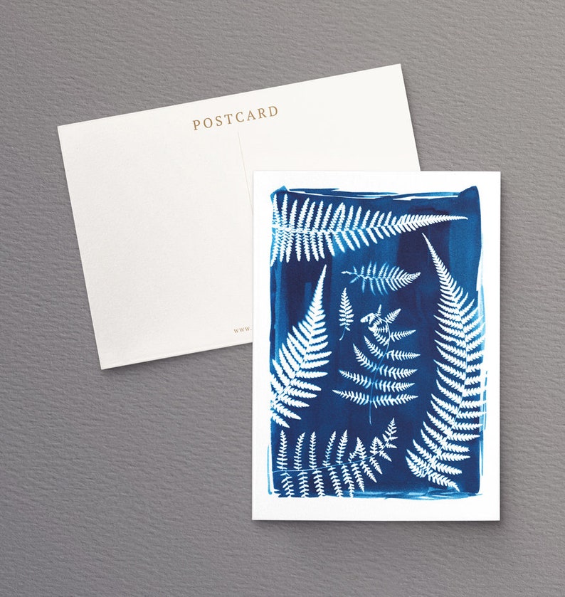 British Ferns Postcards FREE SHIPPING Perfect as Thank you Notes or Wall Art Botanical Cyanotypes Gift for Writers Pack of 5 image 4