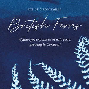 British Ferns Postcards FREE SHIPPING Perfect as Thank you Notes or Wall Art Botanical Cyanotypes Gift for Writers Pack of 5 image 7