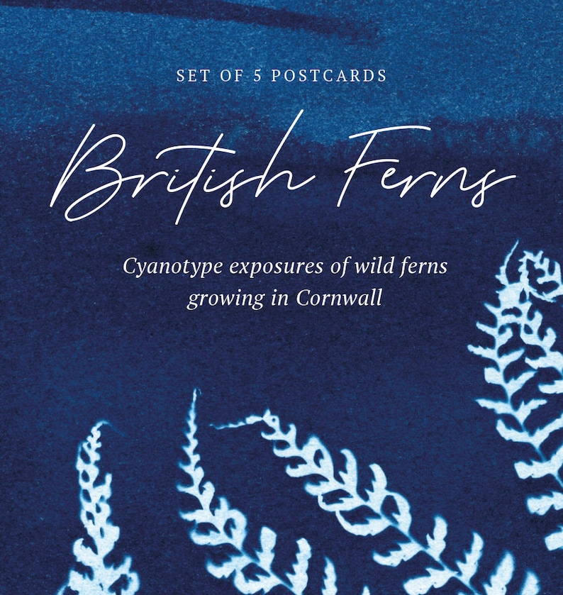British Ferns Postcards FREE SHIPPING Perfect as Thank you Notes or Wall Art Botanical Cyanotypes Gift for Writers Pack of 5 image 7