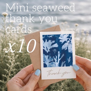 Mini Coastal Seaweed Cyanotype Thank You Cards with Kraft Envelopes (Pack of 10)