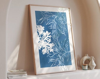 Airbnb coastal decor art print featuring blue sun-printed impressions of real pieces of seaweed. Perfect for a holiday home by the beach.