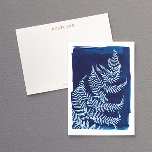 British Ferns Postcards FREE SHIPPING Perfect as Thank you Notes or Wall Art Botanical Cyanotypes Gift for Writers Pack of 5 image 3