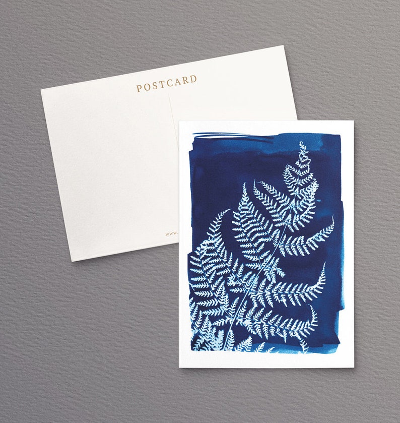 British Ferns Postcards FREE SHIPPING Perfect as Thank you Notes or Wall Art Botanical Cyanotypes Gift for Writers Pack of 5 image 3